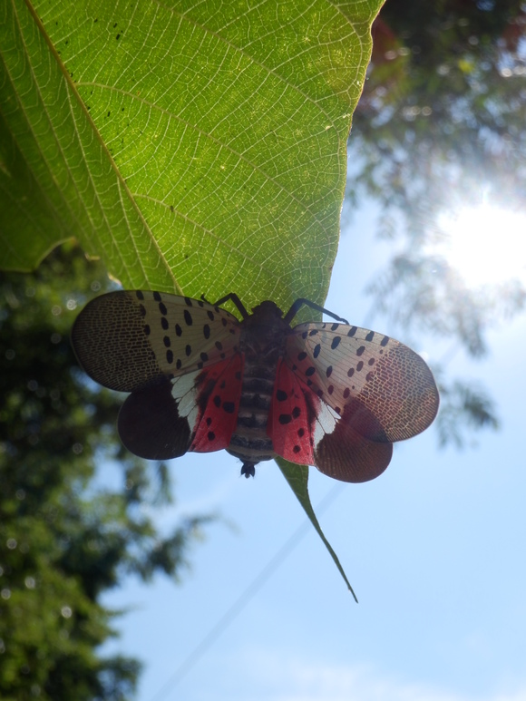 c0062511_20245377.jpg