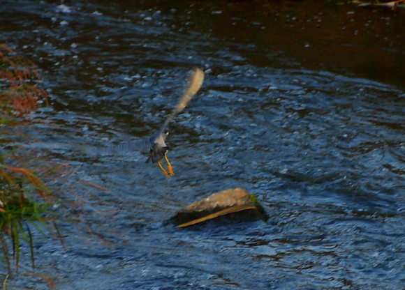 d0048812_847192.jpg