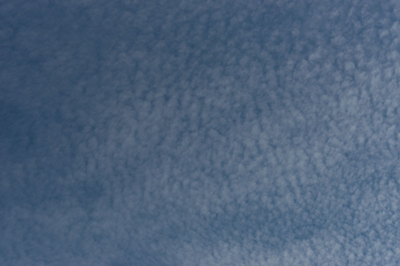 a0278914_752404.jpg