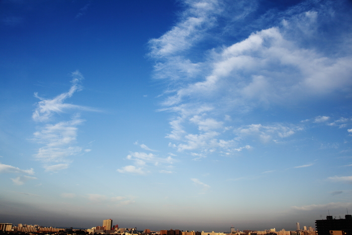 乳房雲　（巻雲）_b0268615_6353330.jpg