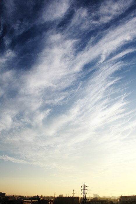もつれ雲 （巻雲） 日々の風景