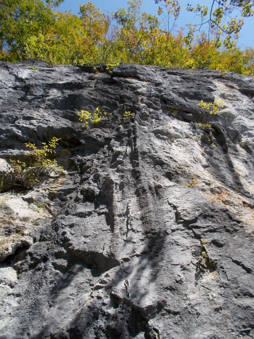 b0037220_23295121.jpg