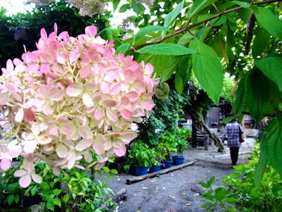 c0204725_1083691.jpg