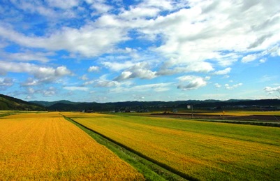 c0204725_1113690.jpg
