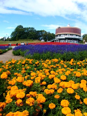c0204725_9122179.jpg