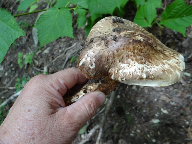 e0266825_151313.jpg