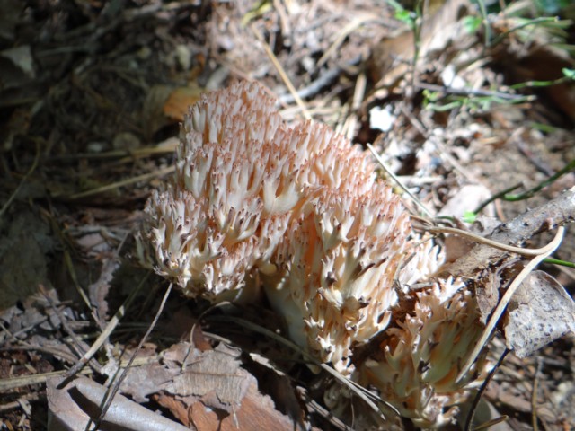 e0266825_15133128.jpg