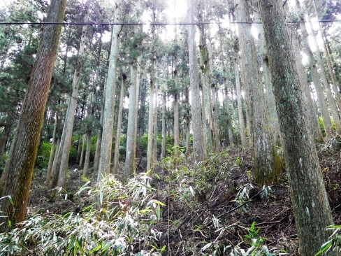 f0213825_12343292.jpg