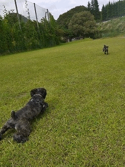f0326925_23582701.gif