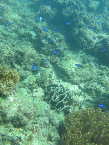 2014年9月23日(火・晴れ)甲浦_d0164831_1683338.jpg