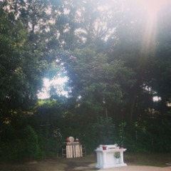 初めての『秋のお彼岸法要』_b0308135_15354298.jpg