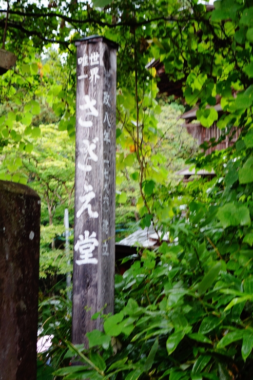 a0287336_23224770.jpg
