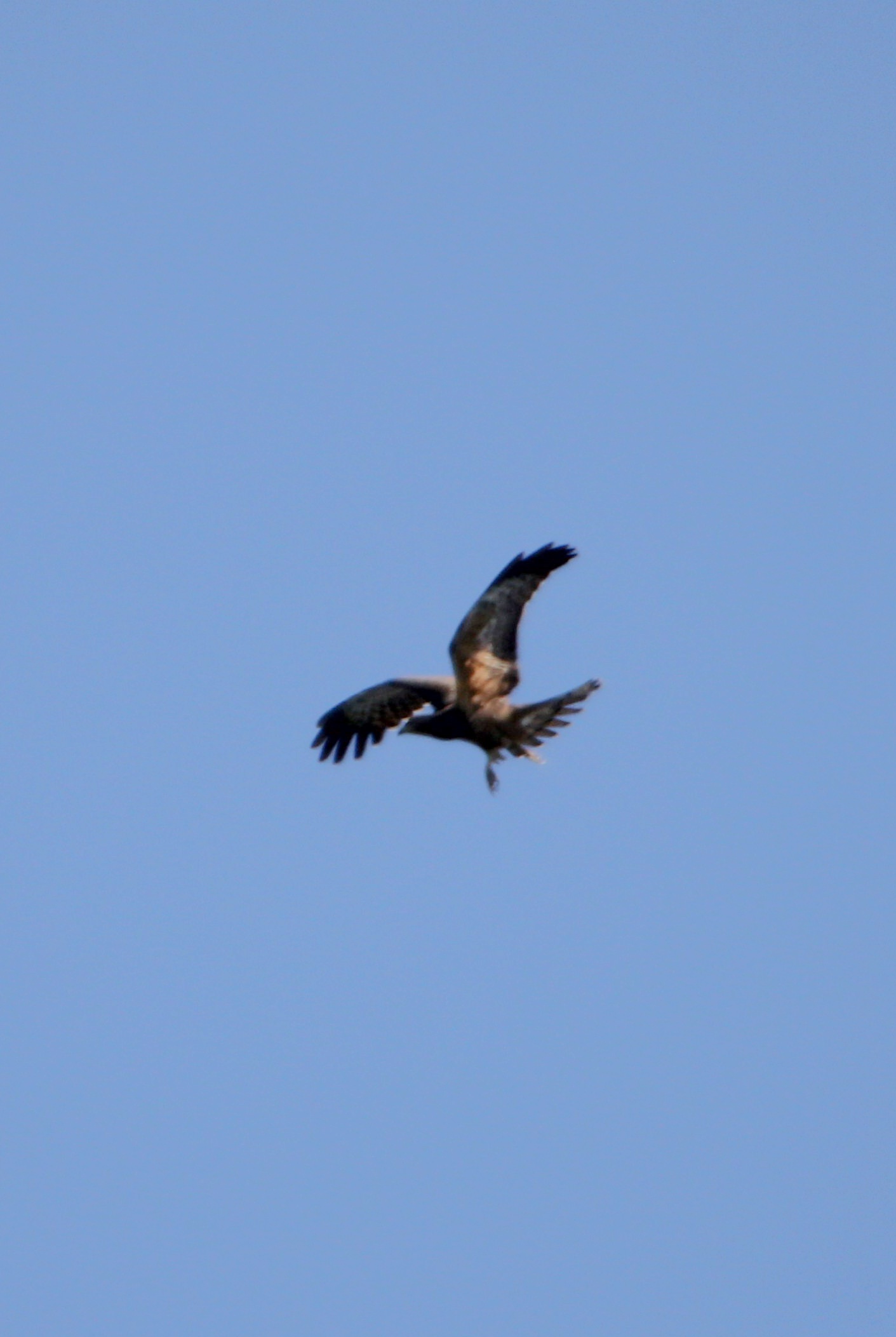 c0269342_01471314.jpg