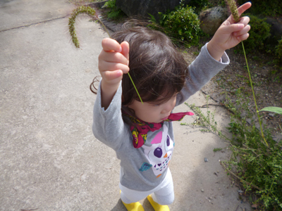 d0070047_011599.jpg