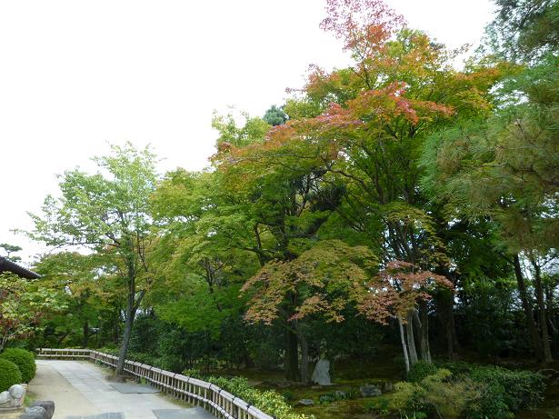 秋の休日・お墓参り・ランチ・国立博物館へ。_f0181251_1552012.jpg