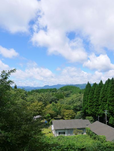 烏骨鶏 温めはじめて21日目!予定日に烏骨鶏のヒナ誕生!!_a0254656_1792877.jpg