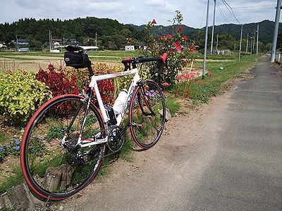 a0096557_15593799.jpg