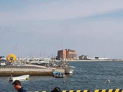 a0096557_16154672.jpg