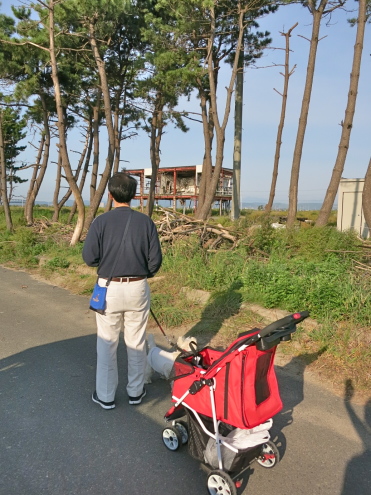 「閖上朝市」朝いちば〜ん♪_c0260460_09481131.jpg