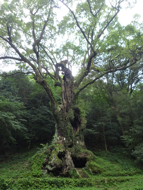 c0222861_235469.jpg