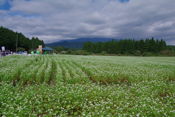 d0164761_9312354.jpg