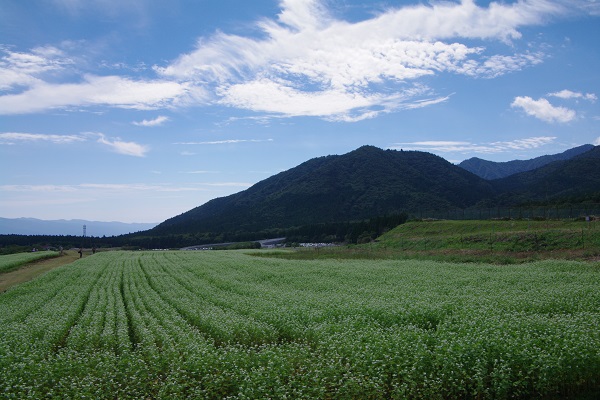 d0164761_936739.jpg