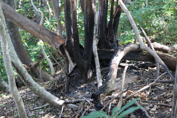 f0327061_14003807.jpg