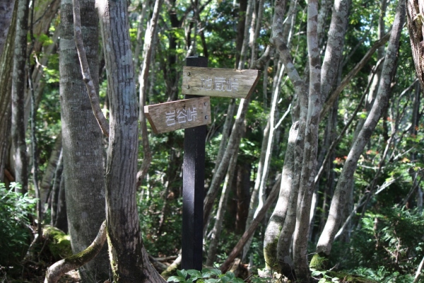 f0327061_14004598.jpg