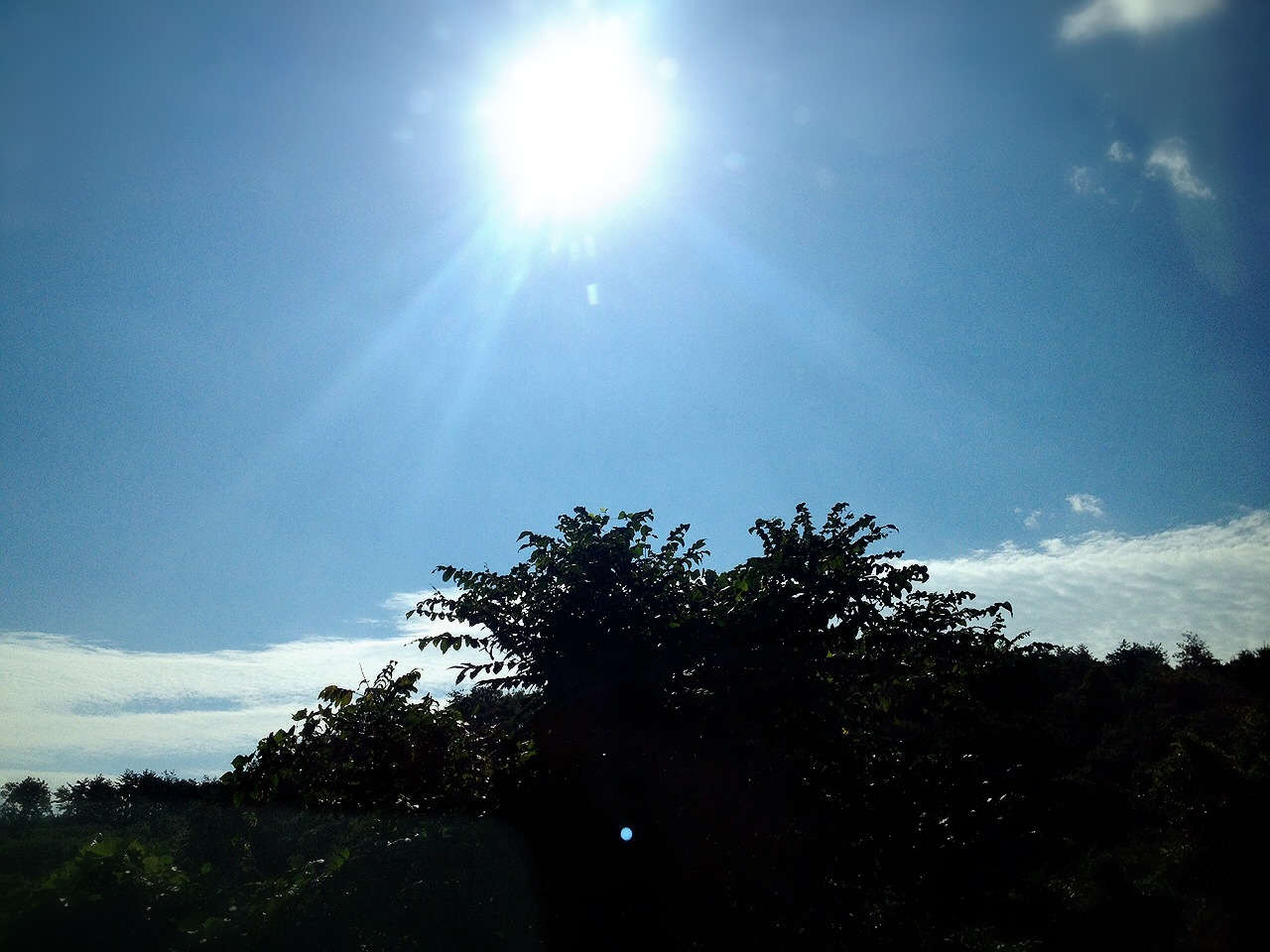 d0133863_2325328.jpg