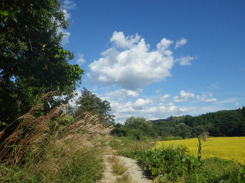 c0214764_2141528.jpg
