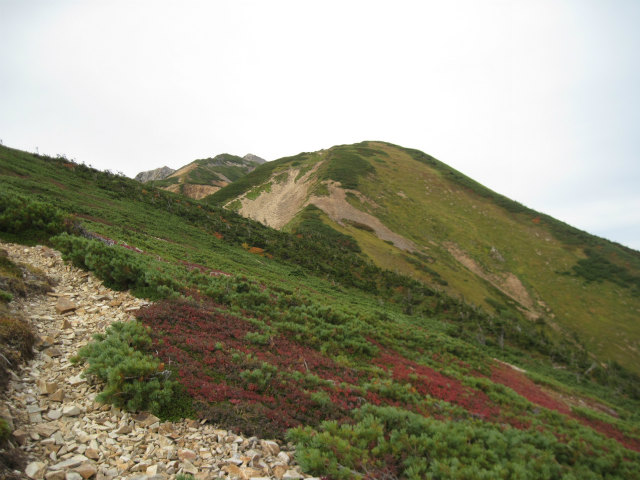 c0219866_11315067.jpg