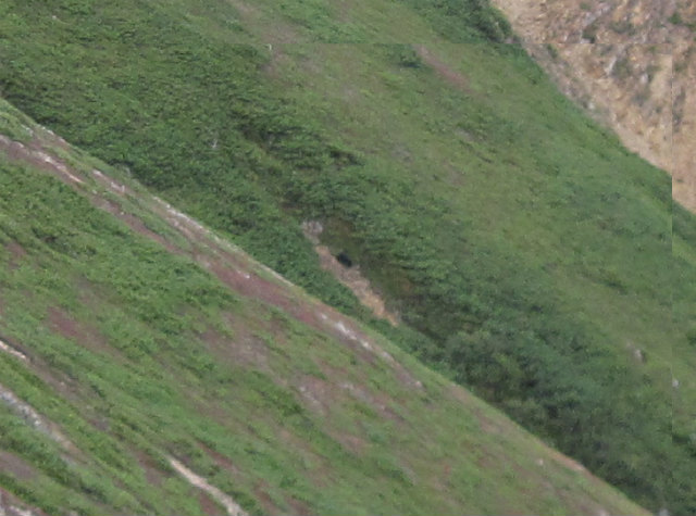 c0219866_11364875.jpg