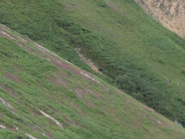 c0219866_1137195.jpg