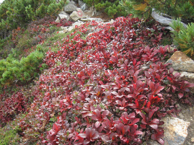 c0219866_1147737.jpg