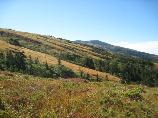 c0219866_12105669.jpg