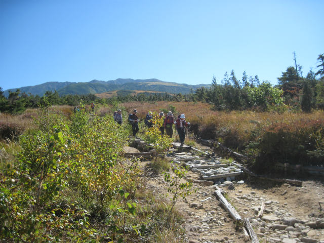 c0219866_12114545.jpg