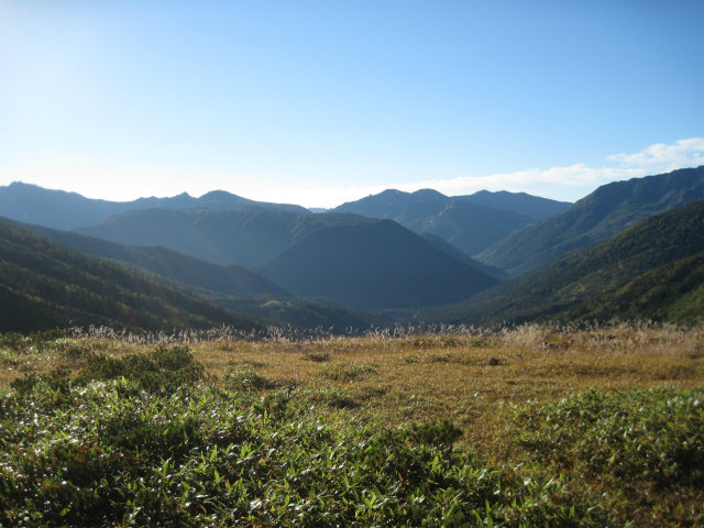 c0219866_1272198.jpg