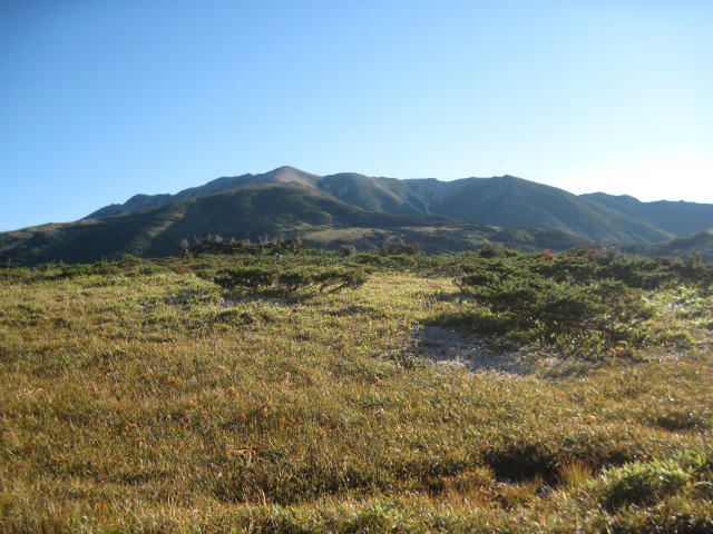 c0219866_1284259.jpg