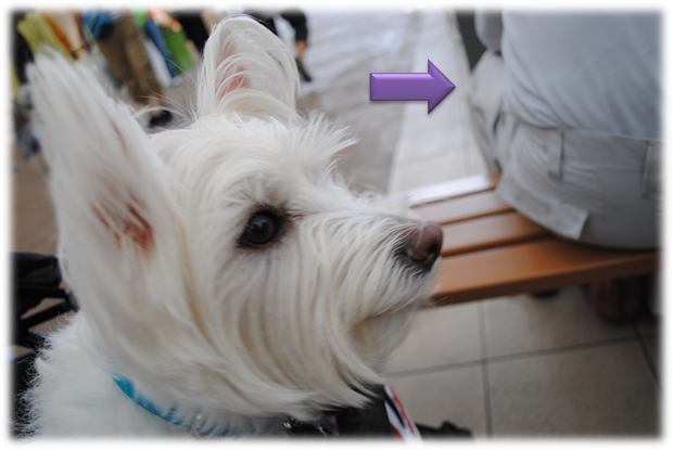 b0242873_02473468.png