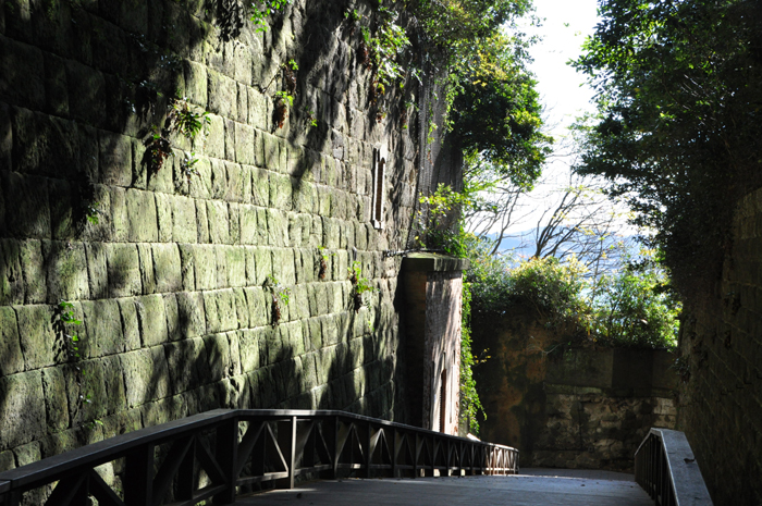 猿島写真(横須賀沖)_e0171573_10503225.jpg