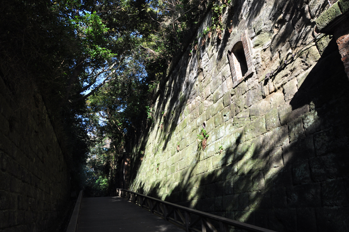 猿島写真(横須賀沖)_e0171573_10505418.jpg