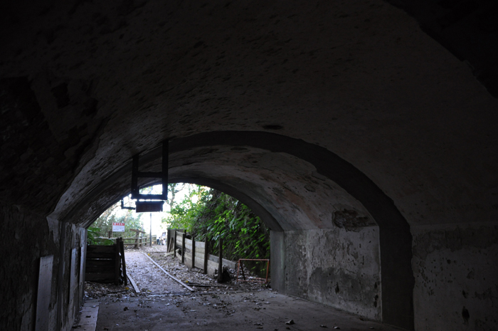 猿島写真(横須賀沖)_e0171573_10515172.jpg