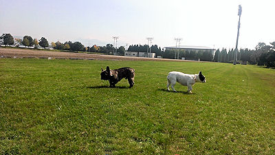b0056476_21292130.jpg