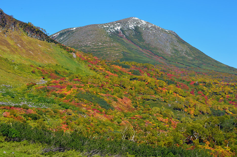 f0109977_03012490.jpg
