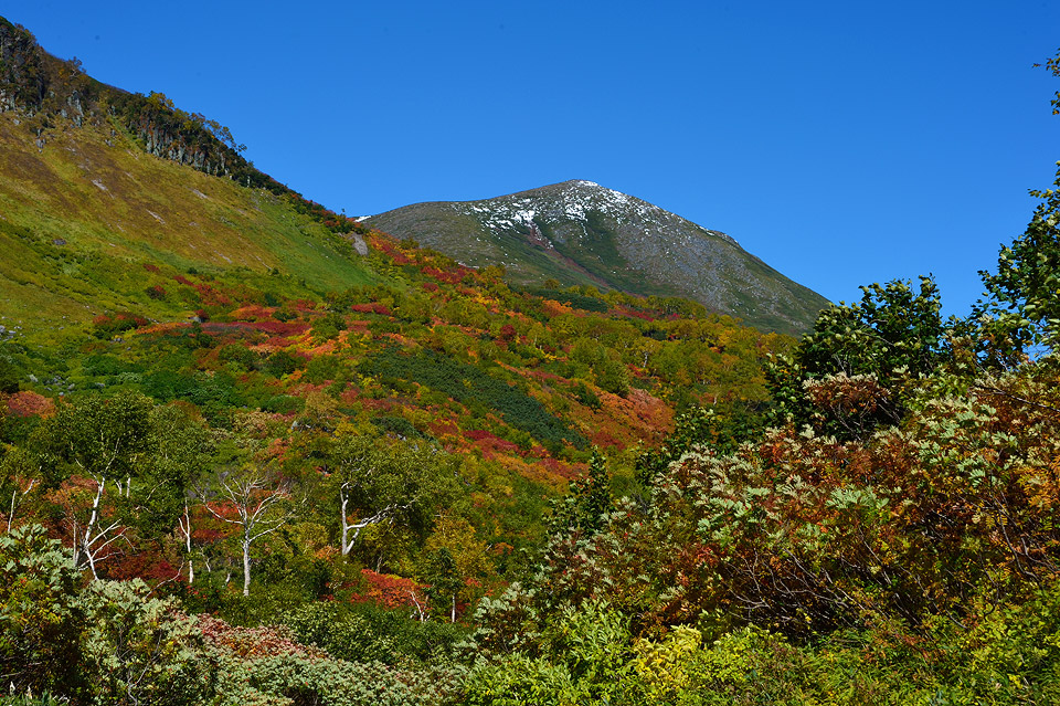 f0109977_03014695.jpg