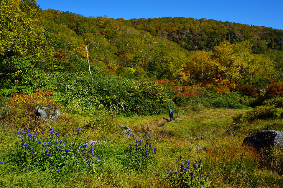 f0109977_03111056.jpg