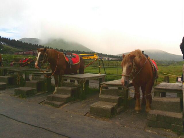 b0304983_01014735.jpg