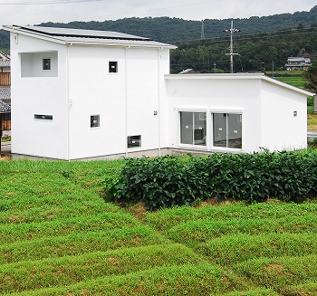 f0198684_2013281.jpg