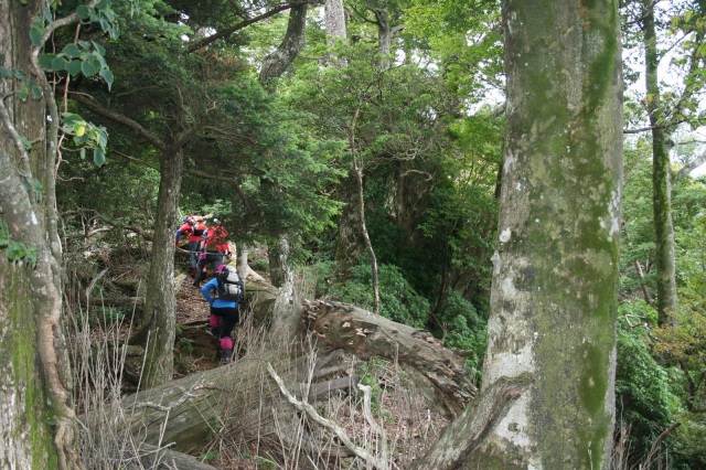 天主山に登りました。_f0357487_20303871.jpg