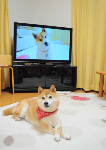楽しい自己満足_a0126590_08470511.jpg